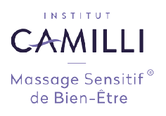 logo de l'institut Camilli logo de l'institut Camilli